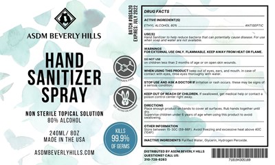 Hand Sanitizer Spray Label Picture (Hand Sanitizers)